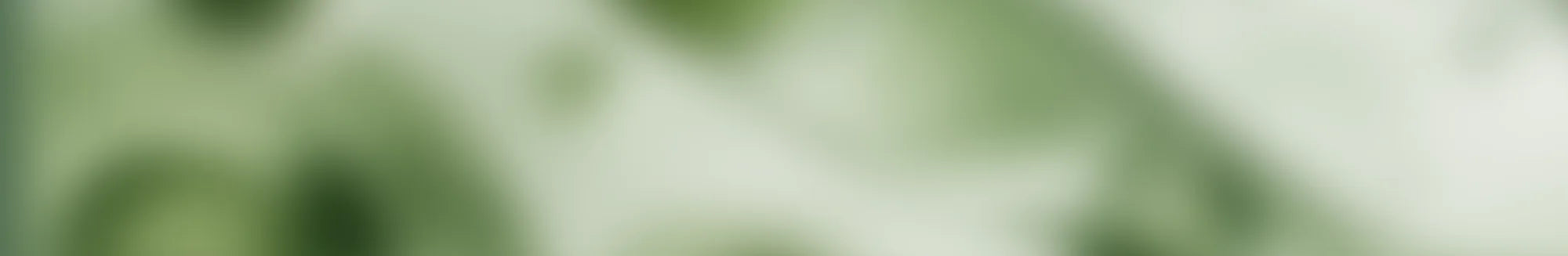 LifeNuva wave divider